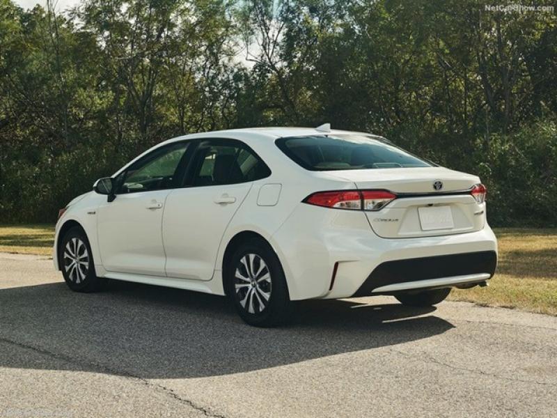 美規 Corolla Hybrid 版本，外型上相較一般款來得保守一些。