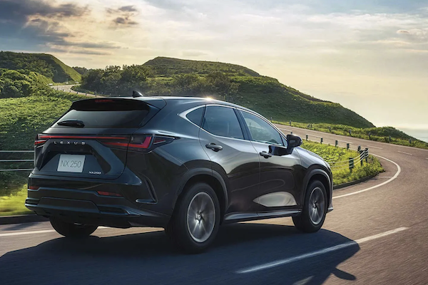 純燃油車市場持續萎縮！Lexus 丟出震撼彈：停售 NX 250