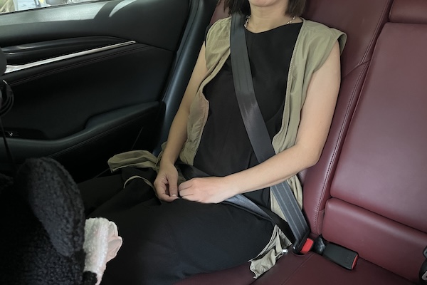 不只前座！後座沒繫安全帶上國道最高罰 6000 元