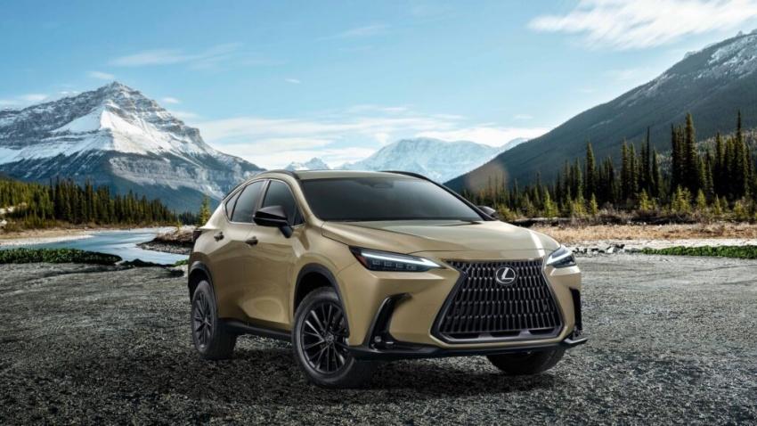Lexus 與 Toyota 的可靠性表現也相當出色。