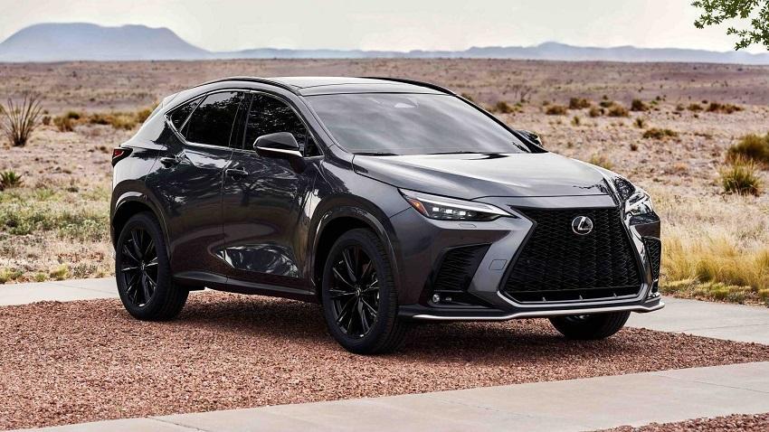 Lexus 車款銷售表現也相當亮眼，以 NX 與 RX 為主力。