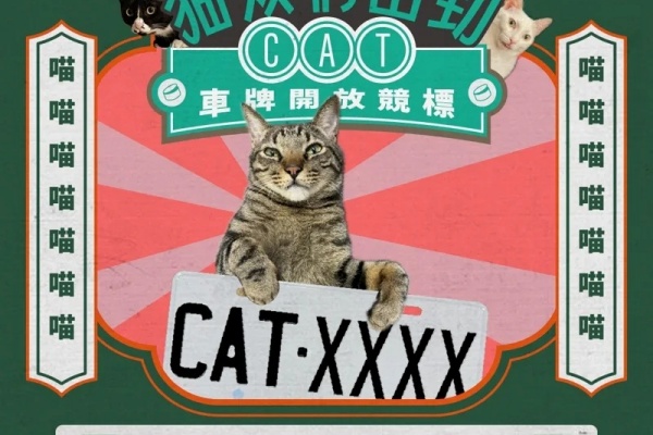「貓奴身分證」夢幻車牌決標！CAT-8888 車牌 57.6 萬創紀錄