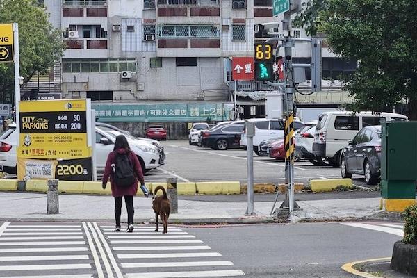 行人綠燈過馬路竟是違規行為  警方搬法條解釋 