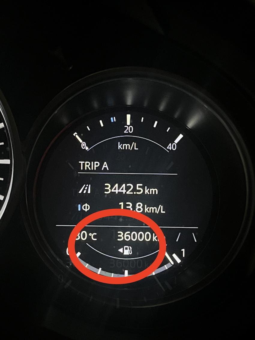 幾乎所有量產車都有這個 Moylan 箭頭。