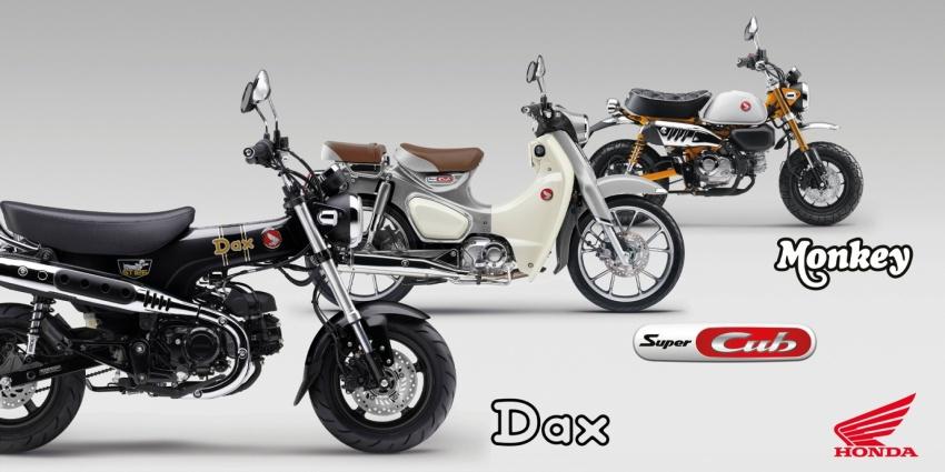 Honda 旗下 Fun Bike 家族推出新年式，換上搶眼塗裝。