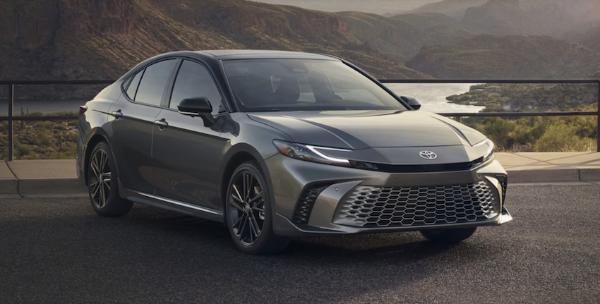 ʮ����������ʵ�ݳ���  ����������ѡ