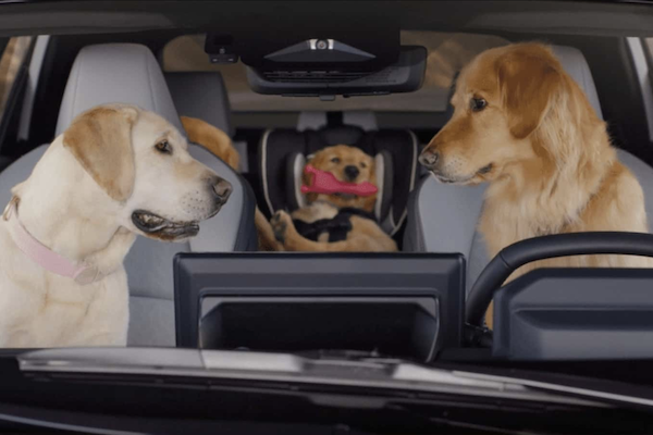 速霸陸車主會帶哪些動物上車？貓狗以外「牠」竟上榜