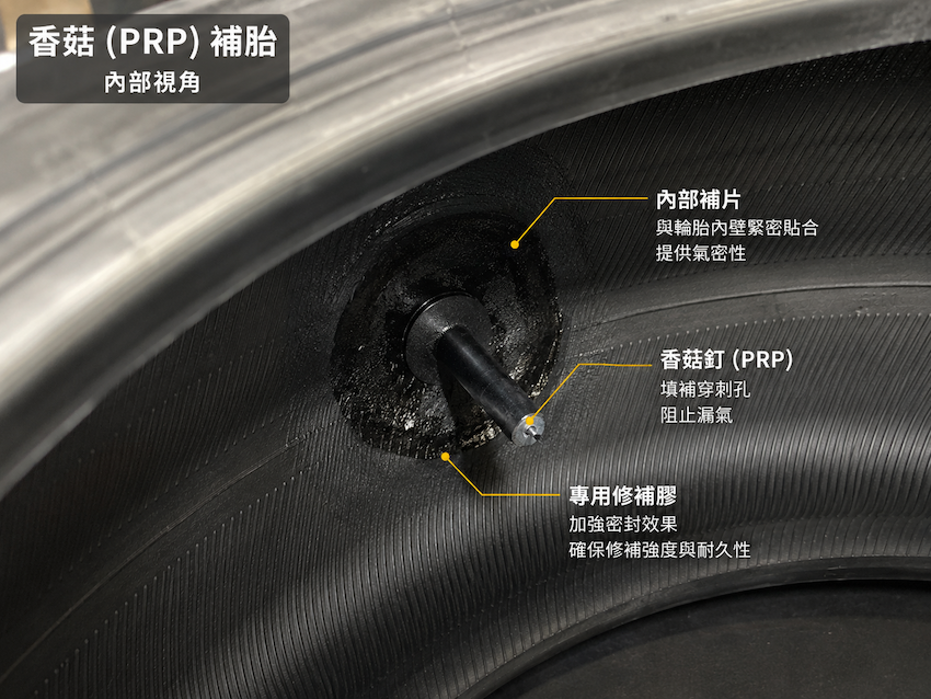 PRP 香菇補片，也是被公認較完整的修補方式。（本報製圖）