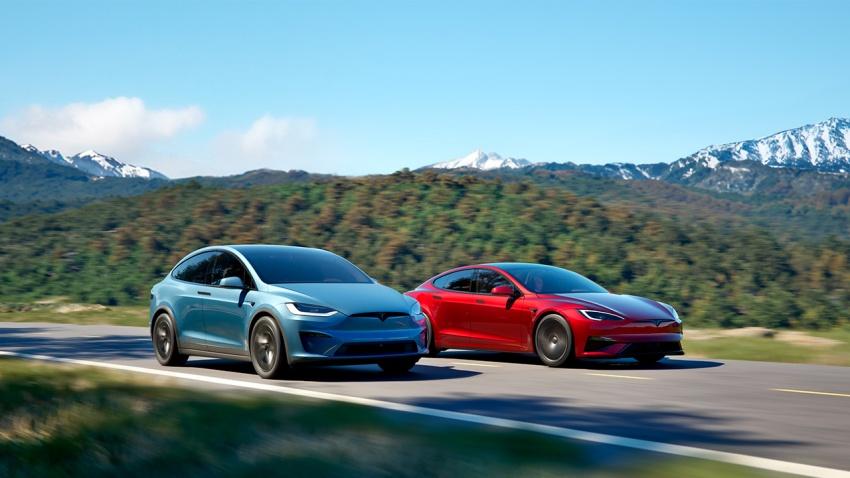 Model Y 已成為 Tesla 銷量保證。