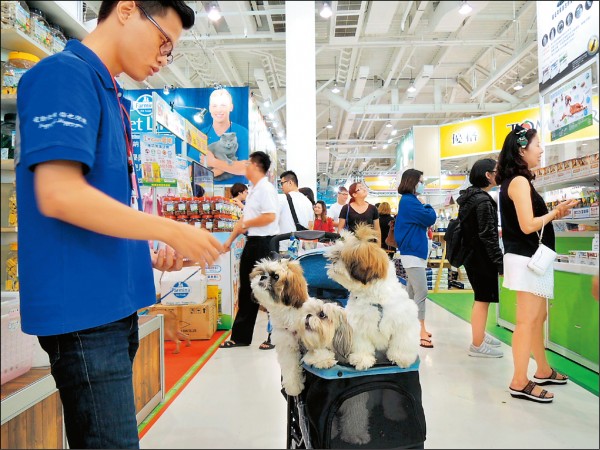 沒有健保 幫毛小孩買寵物險