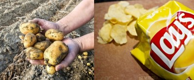 印度農民馬鈴薯侵權案 百事公司：願和解