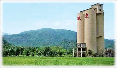 股民心聲》懶貓變猛虎 東鹼在漲什麼？