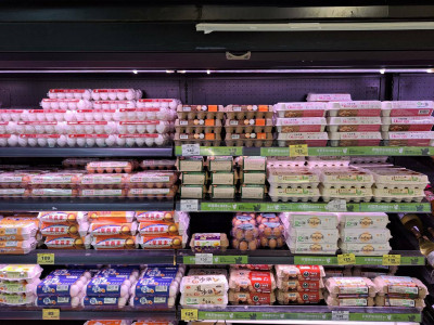 雞蛋降價了！超市、量販店價格一次看