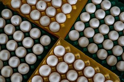 雞蛋好便宜？沖繩好市多20顆賣台幣44元 他傻眼提台灣「1景象」