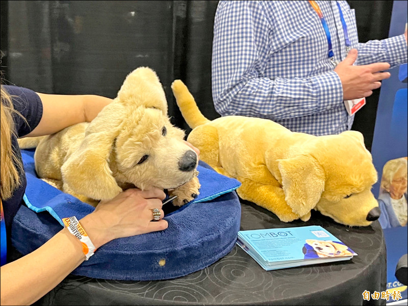 CES科技新趨勢》不只是噱頭 實體AI融入生活