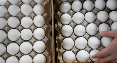 美國蛋荒凶 卡車上10萬顆雞蛋被偷