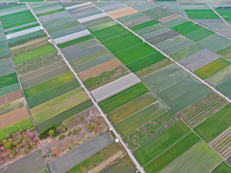 彰化縣標售21筆農地 埔鹽5坪總價不到5萬元