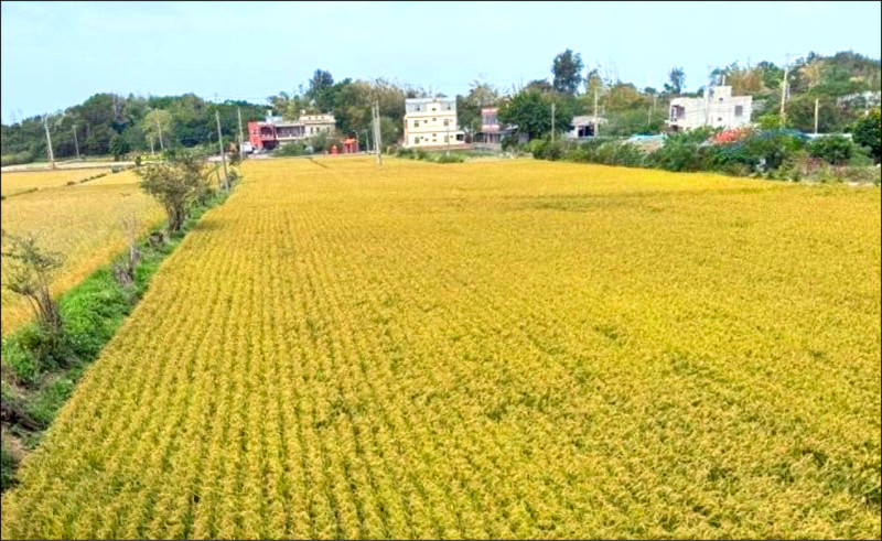 半年內暴漲46％！「桃竹苗大矽谷」剛起跑 農地炒客先賺飽