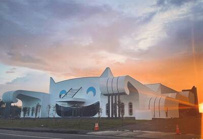 獨家》屏東「貓造型」廠房爆紅 幕後金主大有來頭