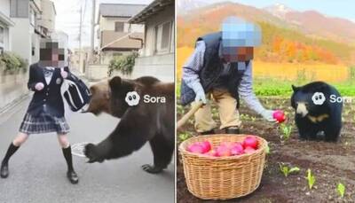 女高中生赤手搏熊 日本熊出沒60％影片來自AI 專家擔心真的遇到 ...