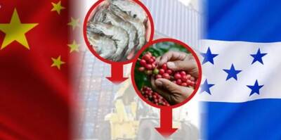 嗆北京戰狼「蝦」扯！宏國媒體再曝證據、痛失台灣80多年合作友誼