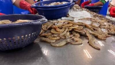 台灣成為這國海鮮、咖啡出口大買家 90多年友邦國不是蓋的！