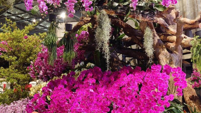 談妥與美對等關稅15％不疊加  蘭協：需中央協助盡速布局在美接力生產