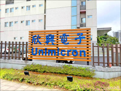 欣興抱緊！三大法人同步搶貨 放量飆漲停創天價