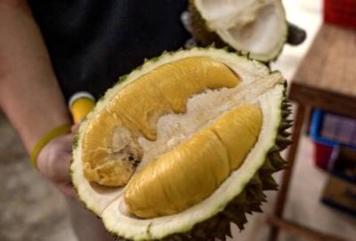 這國榴槤價格崩跌超過87％ 中國、新加坡害的？吃A級貓山王榴槤撿便宜