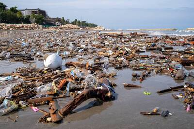 台灣人愛去的旅遊勝地太髒   印尼總統氣炸開嗆丟臉丟到國外