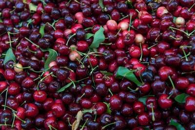 櫻桃有超殺甜甜價？外媒揭「這些美國水果」賣到台灣零關稅