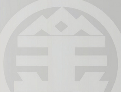 鑫聯大2025年每股賺7.11元 年增195％