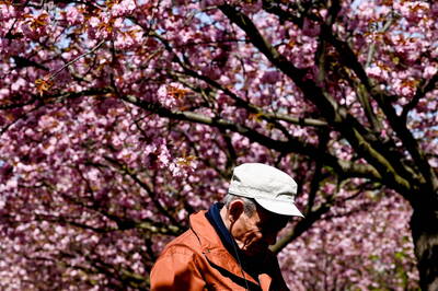 退休不留任何一毛遺產給子女！75歲阿公選擇「花光1640萬元存款」