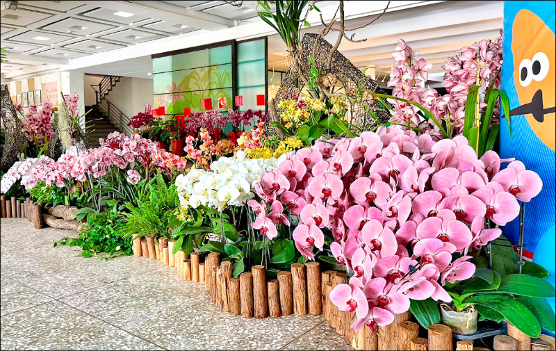 台2231項產品豁免301關稅 蝴蝶蘭、火鶴花入列