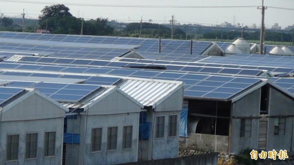 變廢為寶 地層下陷區成功種出「太陽能」廠