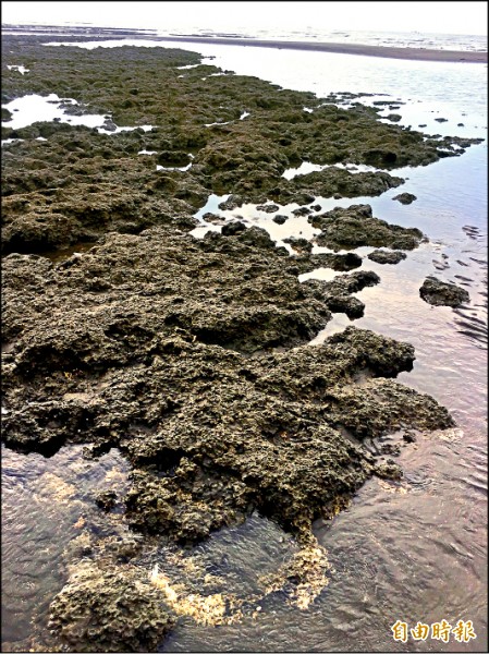 「三接」環評提申覆 商轉至少延1年