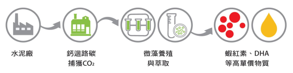從排碳大戶到養生專家，微藻固碳助水泥業走永續之路。（圖片由工研院提供）
