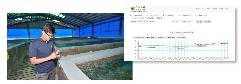 智能養殖系統可以讓業者以手機APP一手掌握目前漁池數據變化，不再需要仰賴大量人力以肉眼判斷。（圖片由工研院/力佳綠能提供）