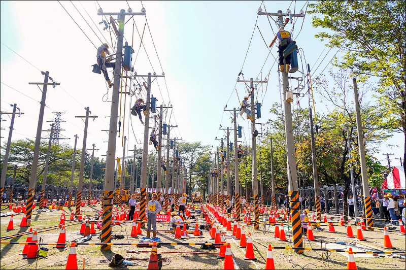 台電今年5月將招766名僱用人員，其中配電線路維護類265名為員額最多的類別。（台電提供）