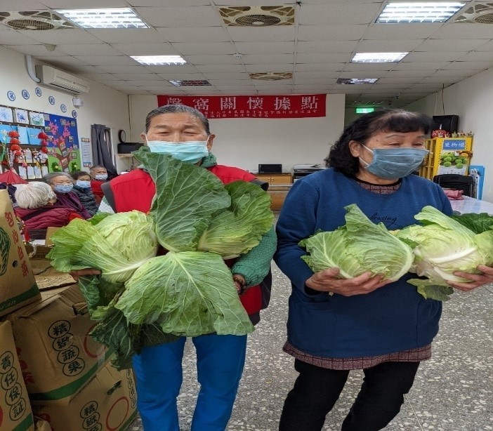 今年降雨變少,高麗菜產量過剩價格大跌。(全國農業金庫提供)
