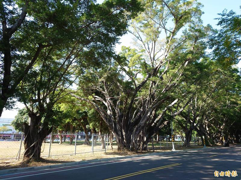 南市東區平實轉運站位在原平實營區基地，現地綠樹成林。（記者洪瑞琴攝）