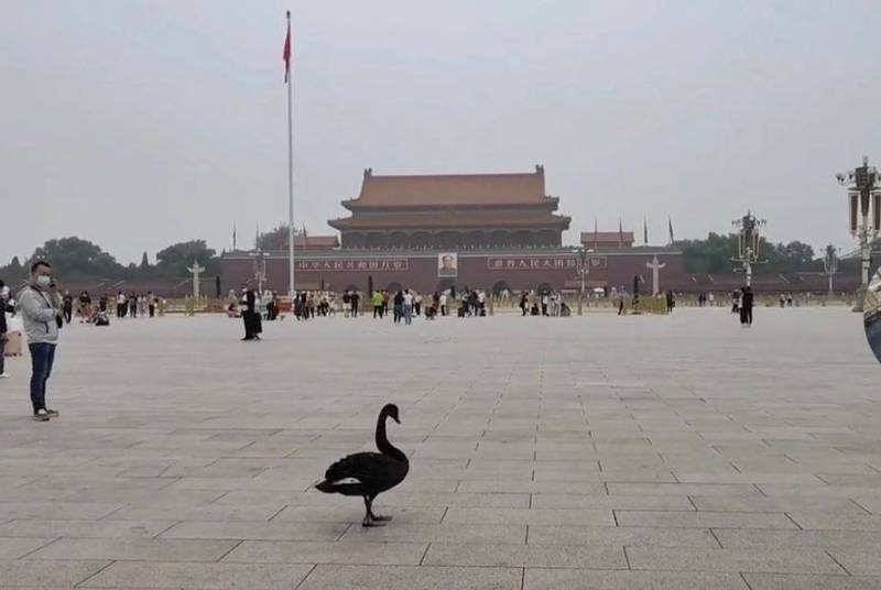 [心得] 北京證交所與天安門的黑天鵝