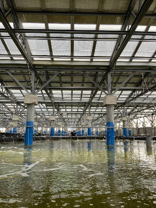 向陽指出，此案為政府大力推廣漁電共生政策以來，日系企業在台灣成功入資的第一個漁電共生太陽能電廠專案。（向陽提供）