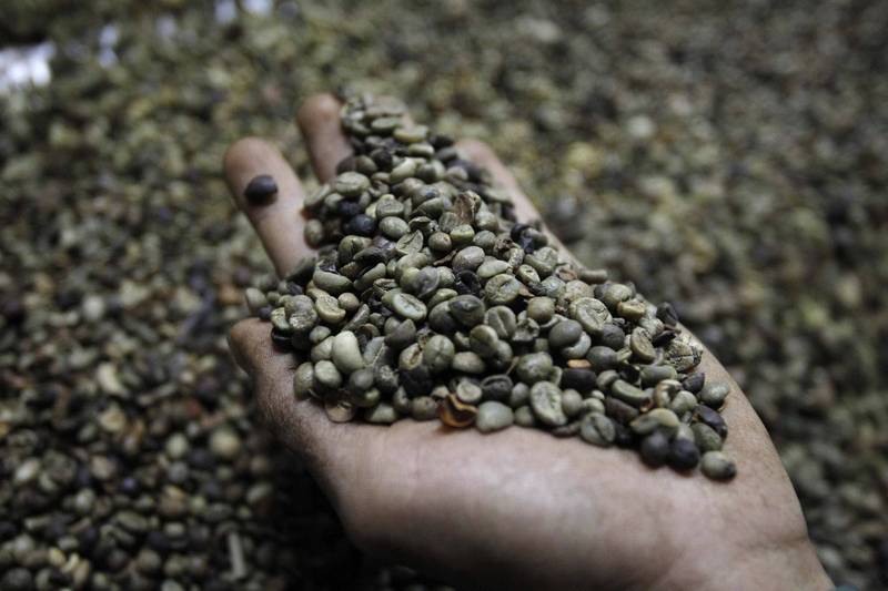 烏戰推高肥料成本 越南農民改種酪梨脫困