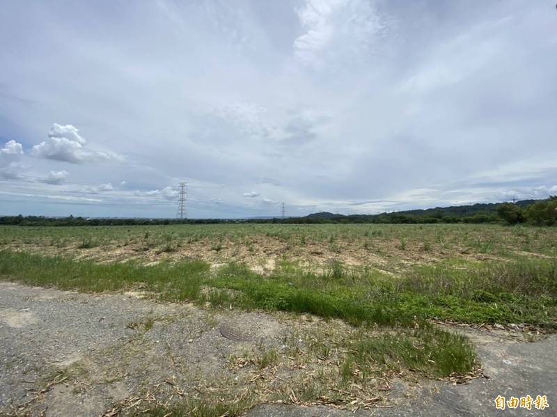 「古坑產業加值園區」預定地，目前全種滿甘蔗。（記者詹士弘攝）