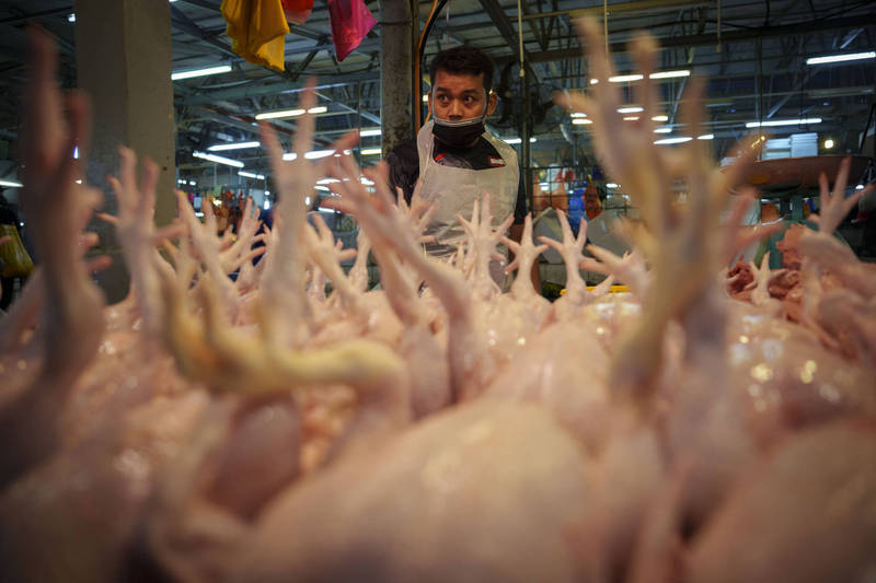 搶雞肉市場  印尼上門找新加坡喬生意