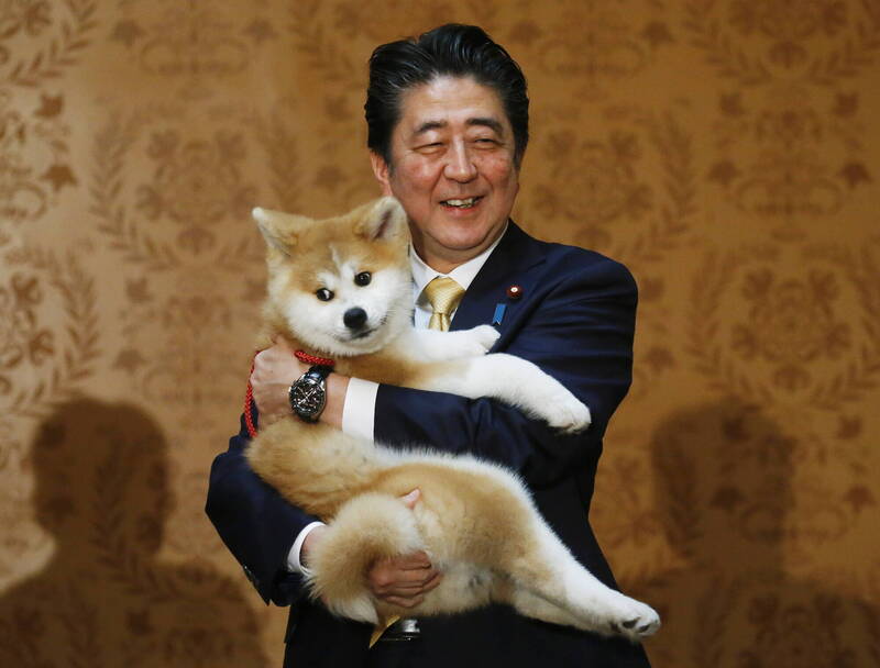 芳鄰現身！英主編讚安倍超親民 上週才見他遛狗