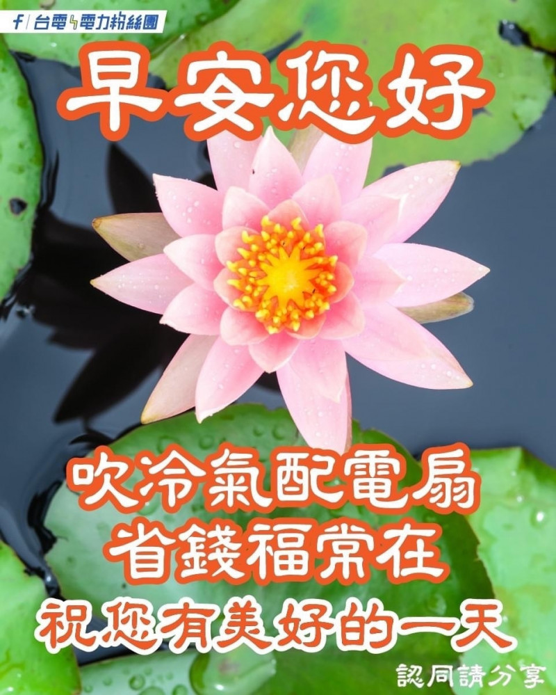 台電祭「長輩圖」宣導節電。（取自電力粉絲團）