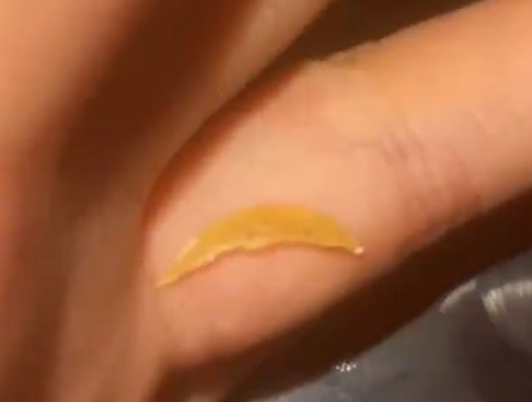 中國烏江榨菜吃出腳指甲 店家：那是莖