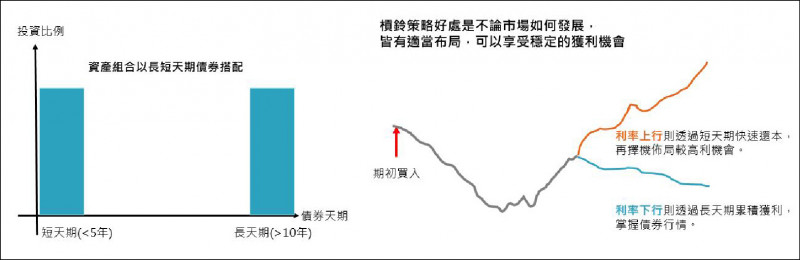 槓鈴投組